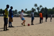 Gambia (230)